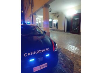 Nella notte a Castelnovo Sotto. Indagano i Carabinieri