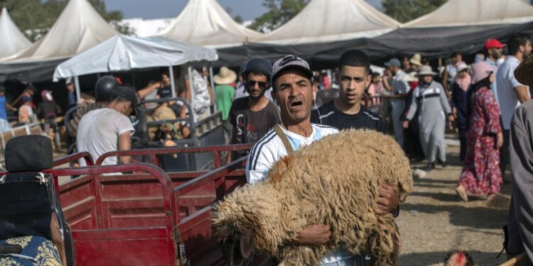 Nei primi due giorni di festa mobilitati 860 mezzi per raccolta