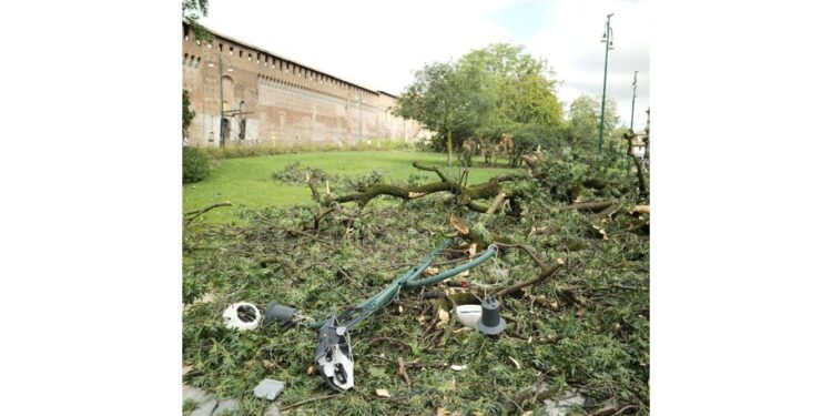 Gli interventi nei parchi dopo lo sgombero delle strade