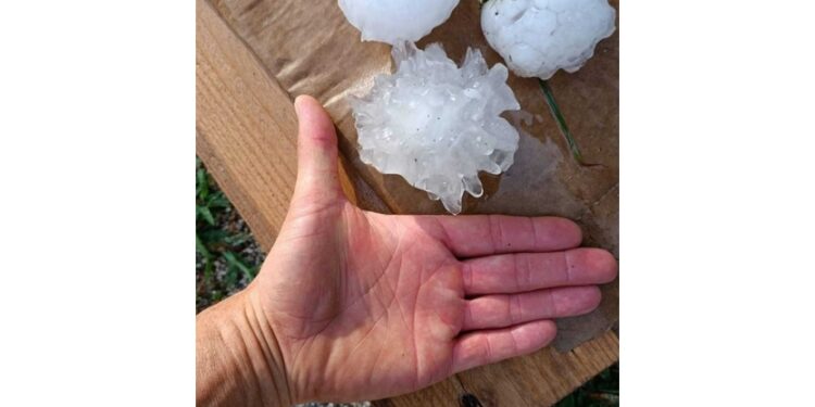 Colpiti i territori di Montebelluna e Pederobba nel trevigiano