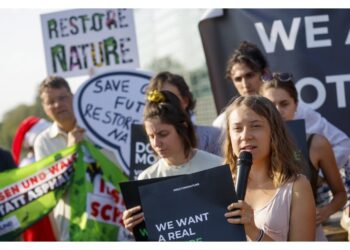 'Destra vuole segare il ramo su cui tutti noi sediamo'