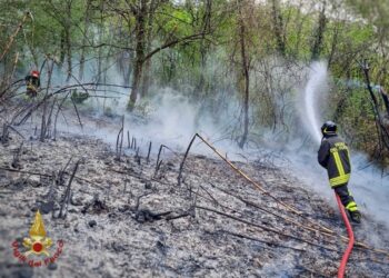 Fiamme alimentate dal vento caldo