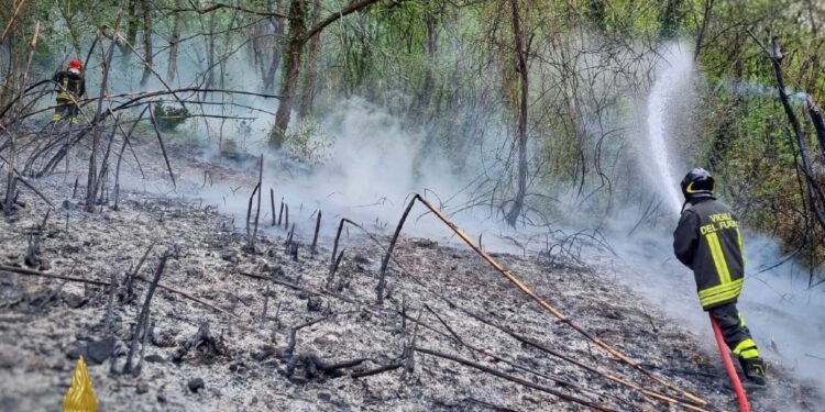 Fiamme alimentate dal vento caldo