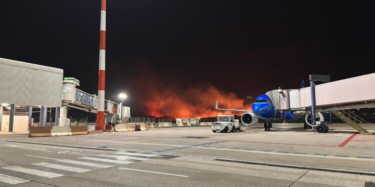 Squadra di vigili del fuoco al lavoro