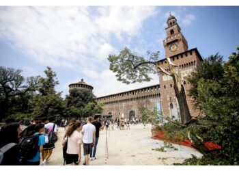 'Al parco di porta Venezia un albero su dieci è caduto'