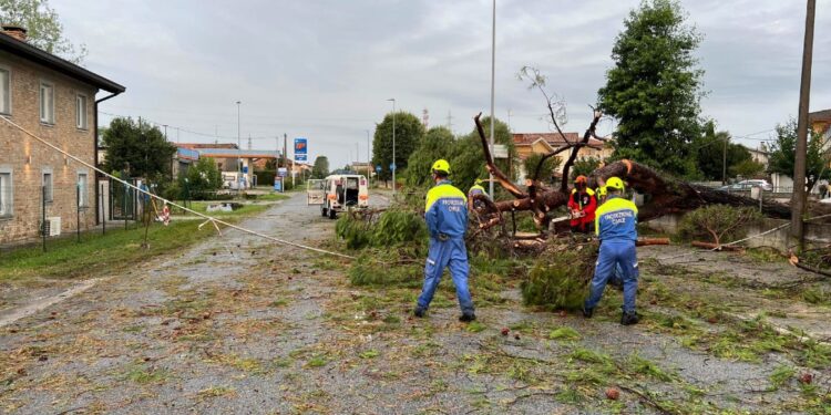 Riccardi: 'A disposizione primo mezzo milione di euro'