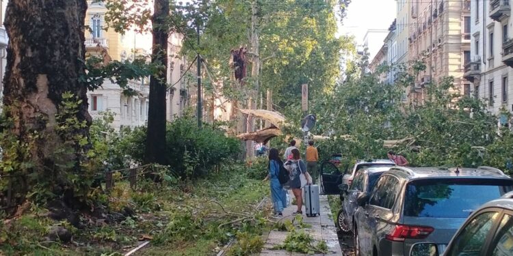 Grazie a Protezione Civile e Vigili del Fuoco per il loro lavoro