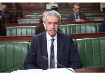 Samir Saied: 'Servono i mezzi per attuare il piano di sviluppo'