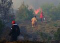 Residenti e turisti allontanati dal zone del fronte del fuoco