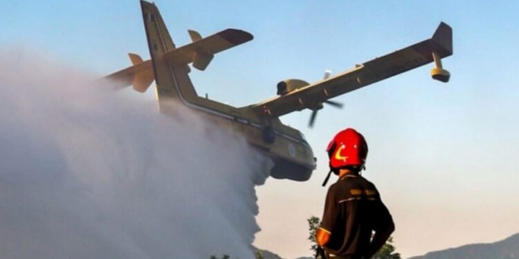 Fiamme lambiscono case in diverse zone a Palermo