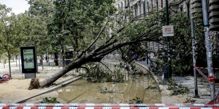 'Governo accolga nostre richieste e intervenga tempestivamente'