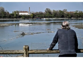 Rinvenuti a Sermide a poca distanza l'uno dall'altro