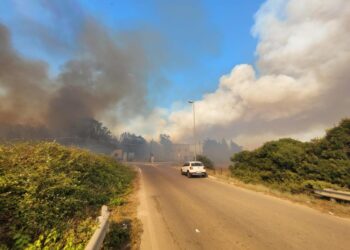 Dopo gli incendi che hanno devastato Ugento