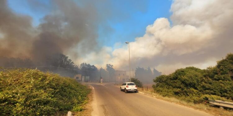 Dopo gli incendi che hanno devastato Ugento