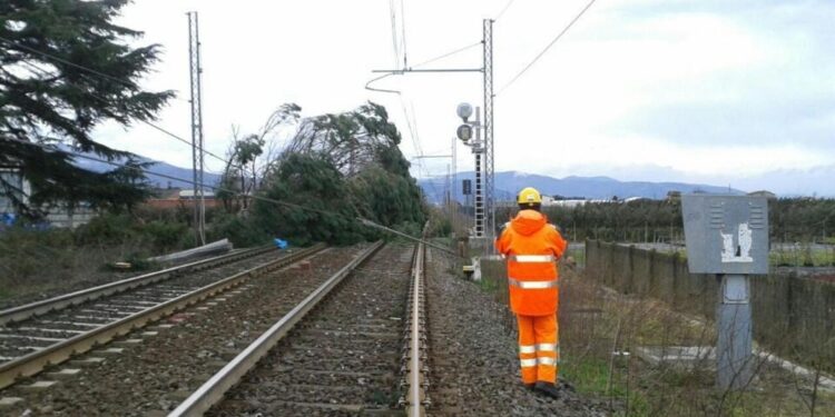 Problemi a Monza