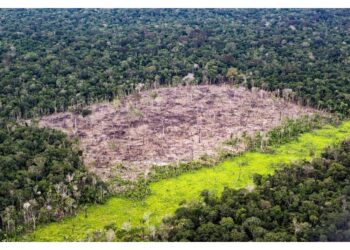 Operazioni militari per salvare i parchi naturali