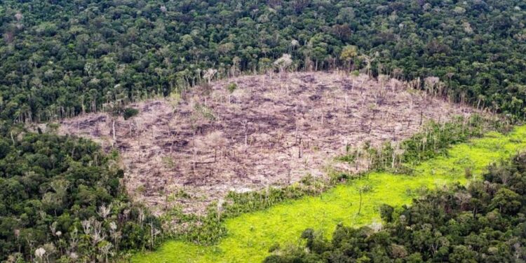 Operazioni militari per salvare i parchi naturali