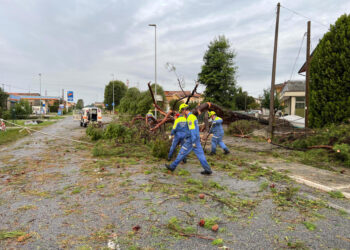 Stava sgomberando gli alberi caduti per il maltempo in Fvg