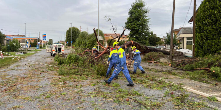 Stava sgomberando gli alberi caduti per il maltempo in Fvg