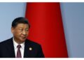 Jinping ha sollecitato sforzi "a tutela della pace regionale"