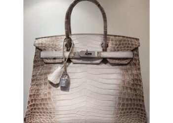 Anche una Birkin in coccodrillo da 50mila euro