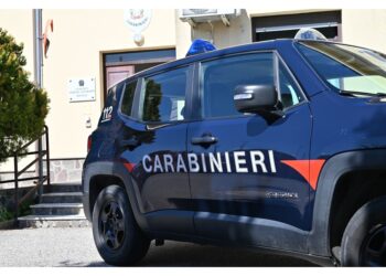 E' stato bloccato dai carabinieri dopo una breve colluttazione