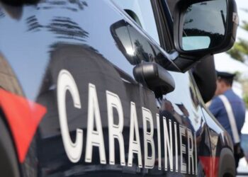 Da tempo latitante. Complimenti di Piantedosi ai carabinieri