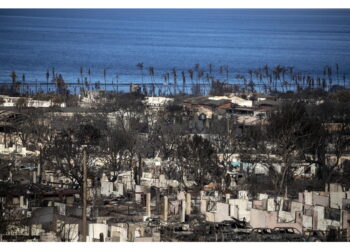 Dopo gli incendi che hanno devastato Maui