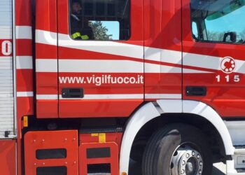 È caduto in una vasca mentre era in corso l'attività di pulizia