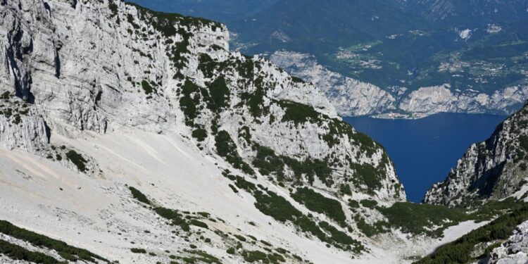 In una zona tipicamente alpina dove questa specie non c'era