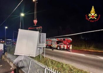 Decine di richieste per alberi caduti nel Varesotto