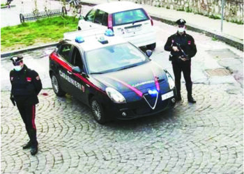 Operazione dei carabinieri su direttive della Dda di Catanzaro