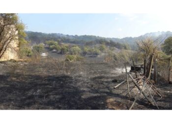 Indagini della Forestale sul rogo a Sorgono