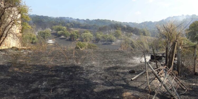 Indagini della Forestale sul rogo a Sorgono