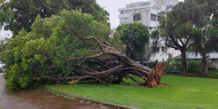 Nuovo allarme della Jma