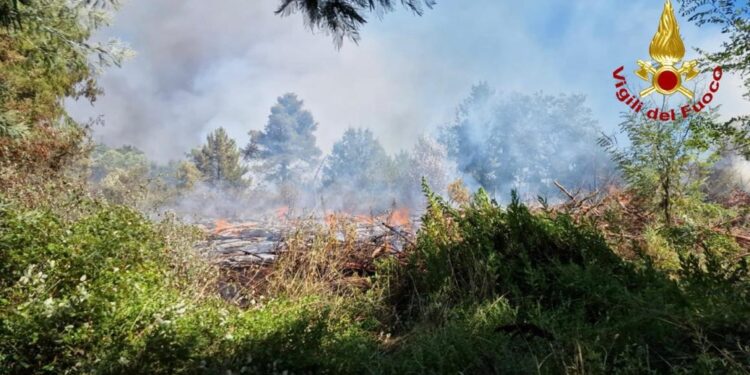 Fiamme nel sottobosco carsico nei pressi del Monte Hermada