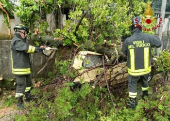 Il Pordenonese la zona più colpita