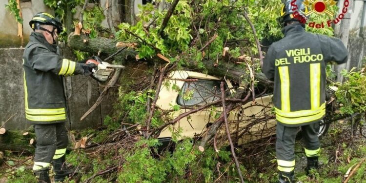 Il Pordenonese la zona più colpita