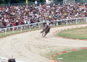 Giostra interrotta e poi ripresa per la caduta di un cavaliere