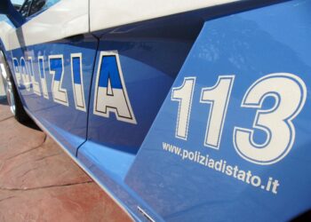 Fiamme partite da catasta di legna. Disposta l'autopsia