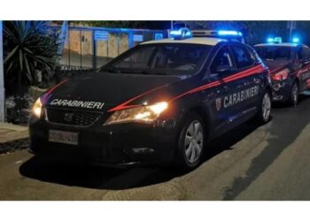 Nel Pesarese indagini dei carabinieri