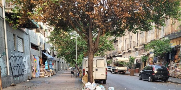 Sanzionata decina di persone. Sindaco