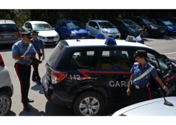 Operazione dei Carabinieri Trieste nei confronti di un giovane