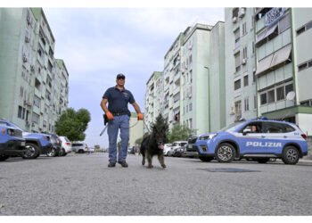 Operazione alto impatto in particolare al Parco Verde