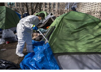 La caccia sarebbe illegale ma i cittadini sono grati