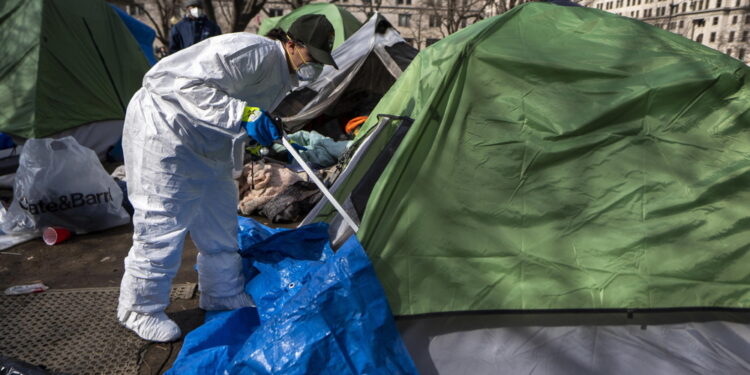 La caccia sarebbe illegale ma i cittadini sono grati