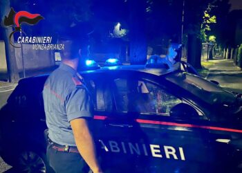 Accaduto ad Arcore. in Brianza. L'aggressore fermato nella notte