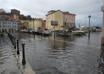 Sul litorale che va dalla Bassa friulana a Trieste e provincia