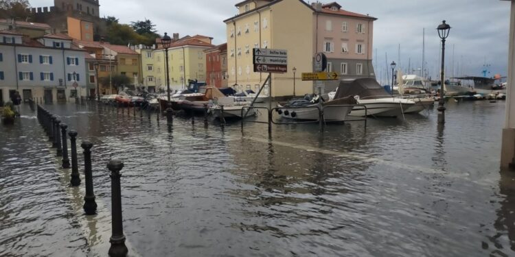 Sul litorale che va dalla Bassa friulana a Trieste e provincia