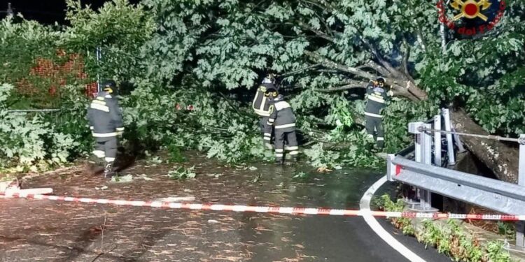 Interventi per liberare le strade da Cinque Terre a Val di Vara